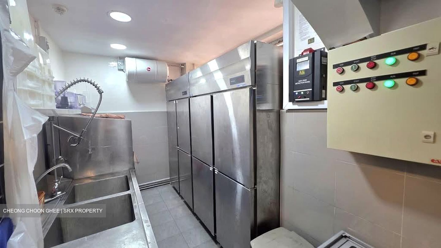 Tanjong Pagar Conservation Area (D2), Shop House #586039041
